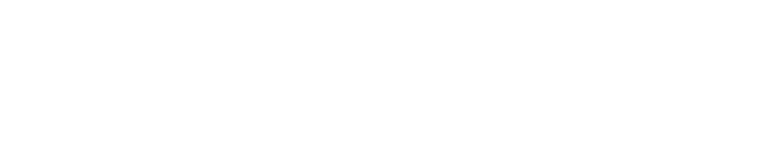Seintegra